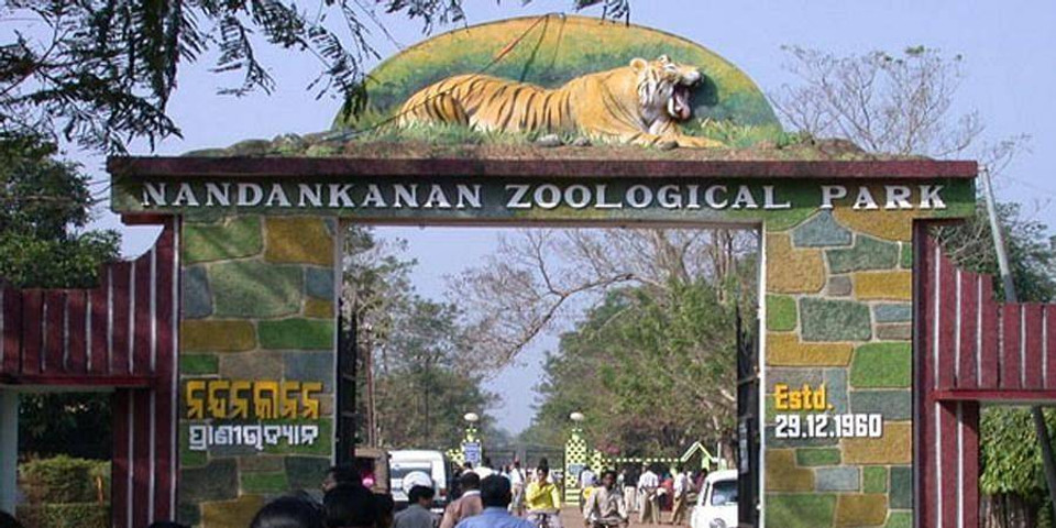 Biggest Zoos in the world-Nandankanan