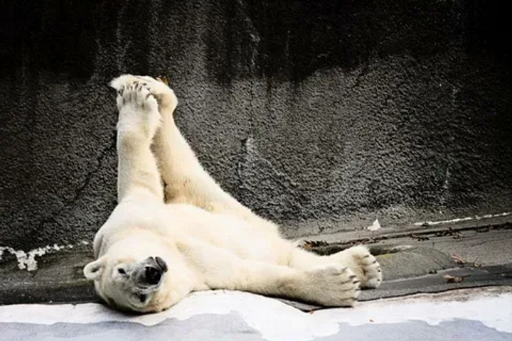 morning yoga!!!!!!!!!!!!!