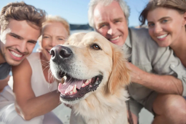 Pets brutally teaching the importance of personal space!!!
