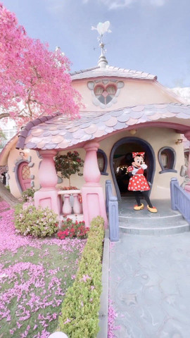 Disney land!!
