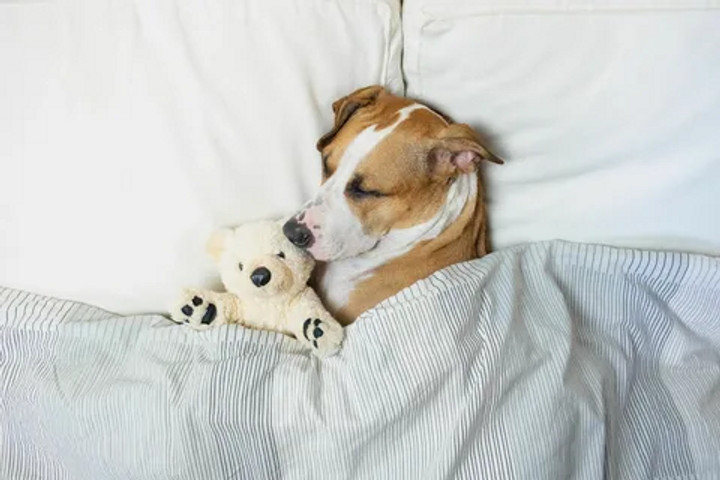 i wanna sleep too!!!!!!!