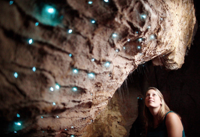 Caves around the world- Waitomo Glowworm