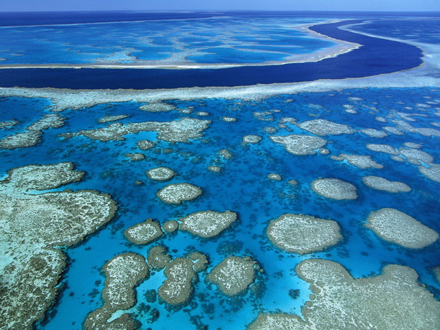 Popular coral reefs- Great Barrier Reef