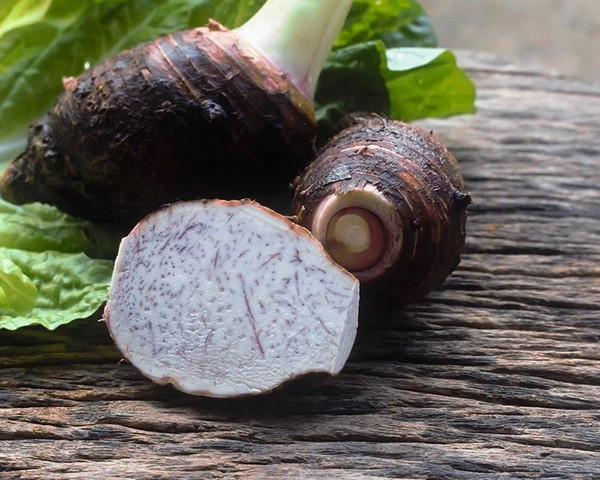Unique and healthy vegetables- Taro Root