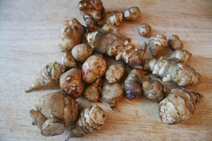 Unique and healthy vegetables- Sunchokes