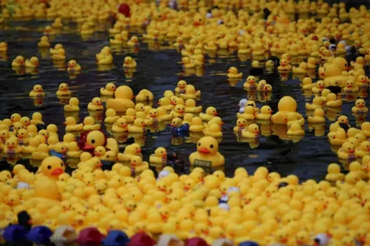 Dumbest World Records Ever: Largest collection of rubber ducks