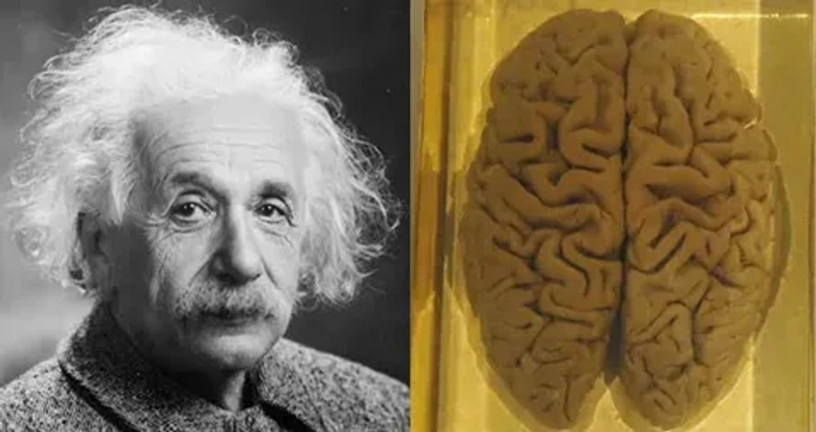 Unbelievable but true facts: Albert Einstein