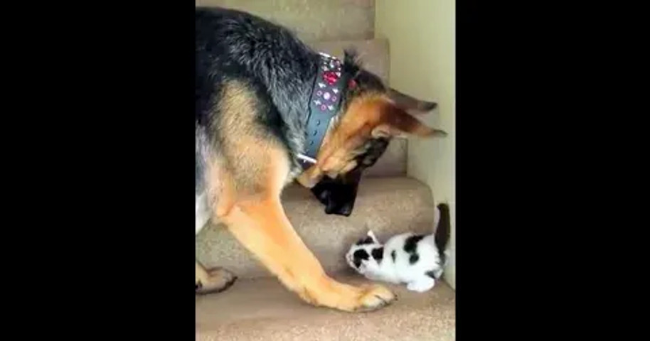 Relax! He is just helping.