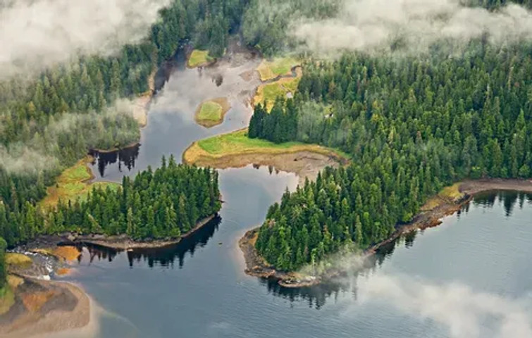 10 Biggest Forest By Area: Tongass National Forest