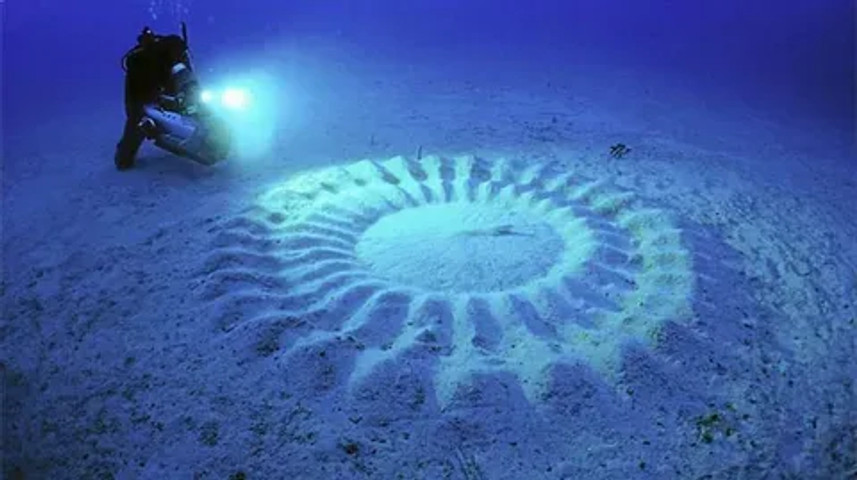 Unexplained phenomena in the deep sea: Underwater crop circles