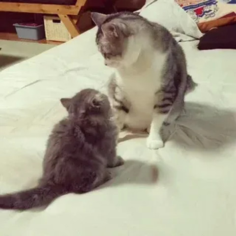 Learning to survive!