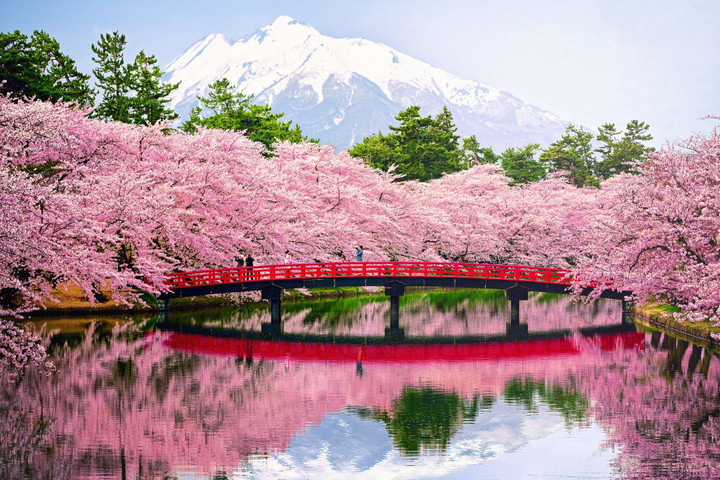 SPECIALTIES OF JAPAN: Natural Beauty