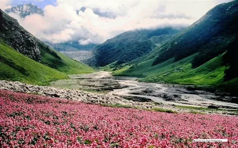 Stunning landscapes of India: Valley of Flowers