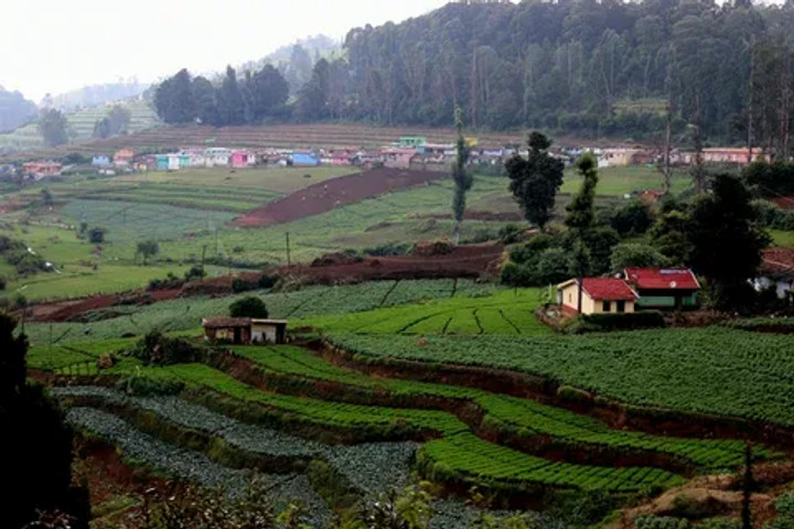 Stunning landscapes of India: Nilgiri Biosphere Reserve
