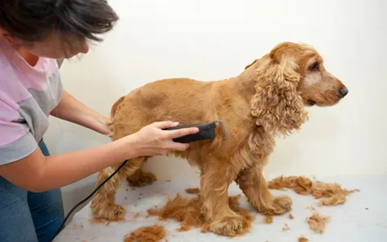 He felt betrayed!