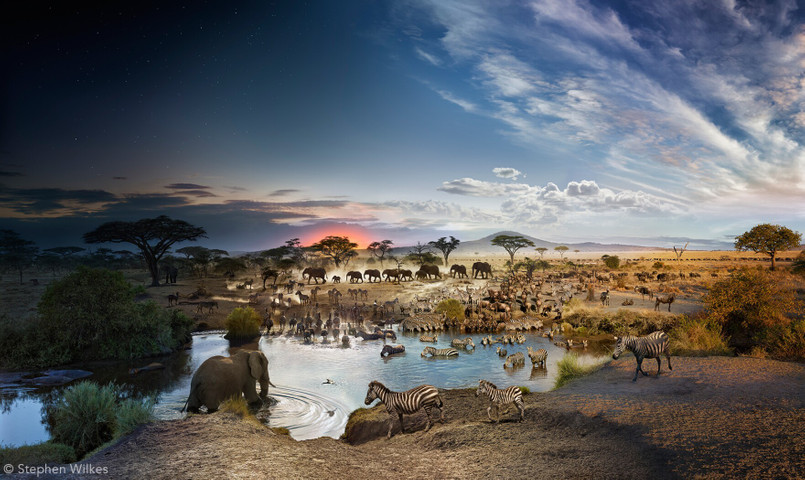 Heavenly places on earth: The Serengeti, Tanzania