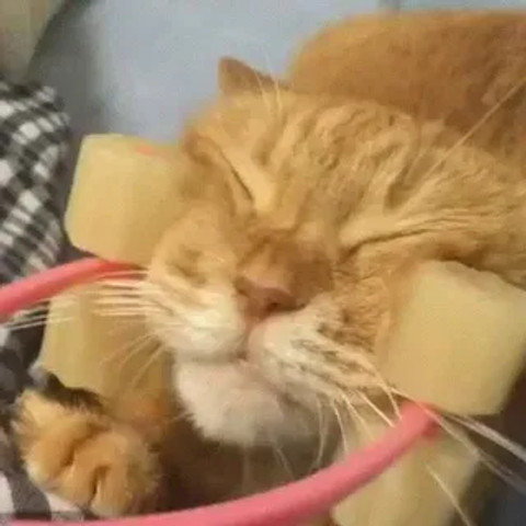 VIP Treatment