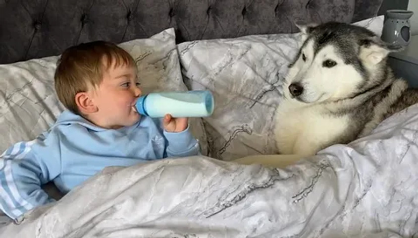 Cuddles 