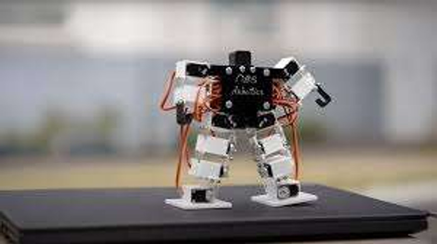World smallest human made robot