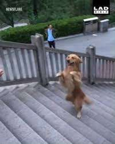 Way to climb stairs