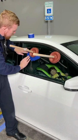 How to steal a car