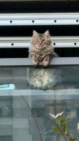 Do nothing look busy