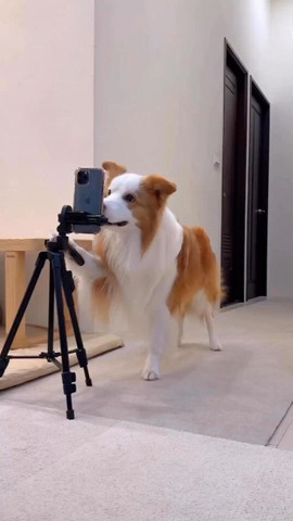 He know the way that how to become viral on social media