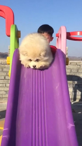 Slide