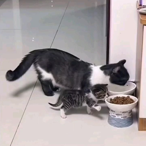 Mom i just want milk