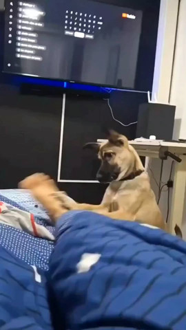 Hey wakeup