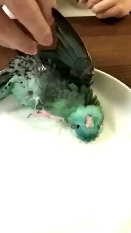Scrumptious pink feet
