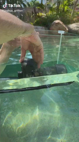 Underwater photography
