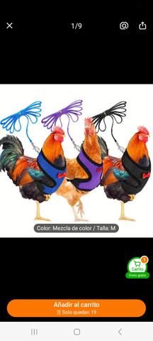 Sígueme y te sigo.