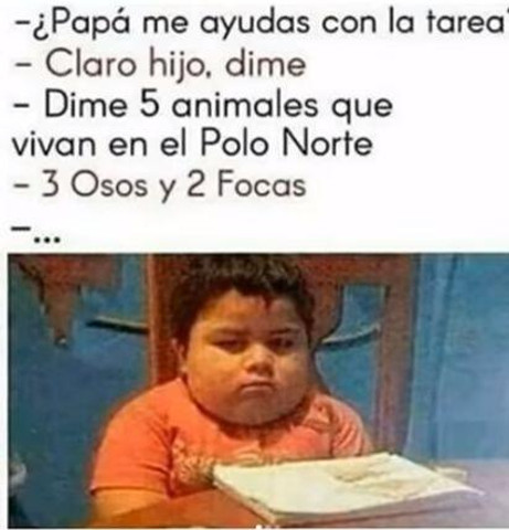 No dijo diferentes tipos de animales nomas dijo 5 animales que vivan en el polo norte :)