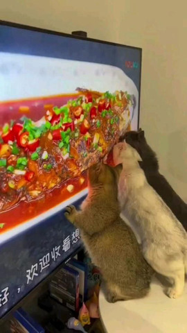 Why food is not coming in mouth