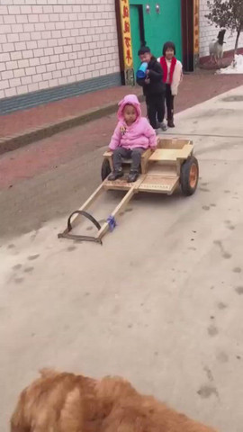 Dog and child have fun