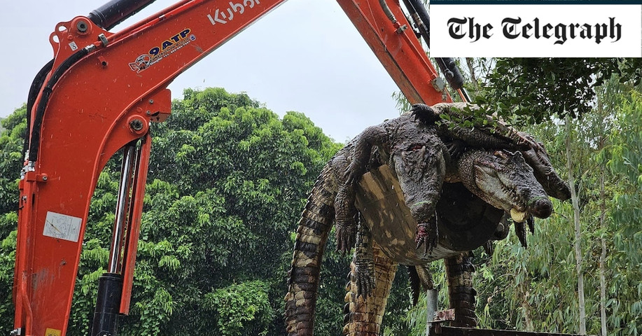 Pictured: Farmer kills 100 crocodiles after Typhoon Yagi to stop mass breakout