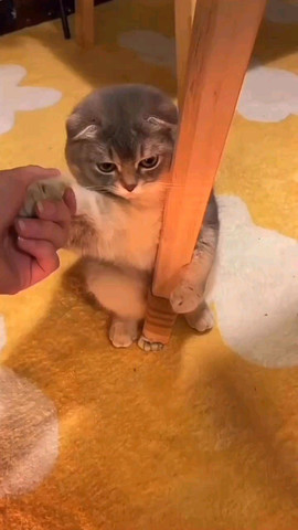 I am angry