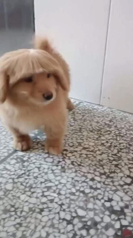 New haircut