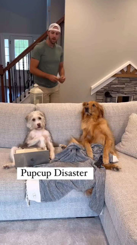 Pupcup dissaster