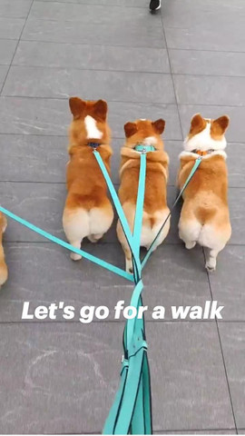 Walk time