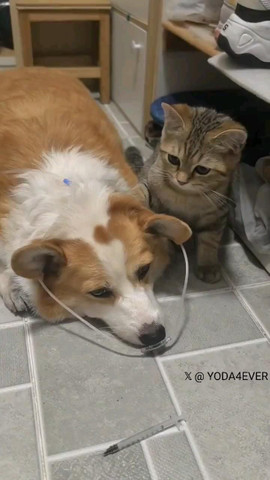i am with you