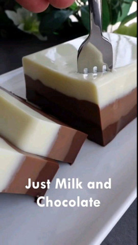 Milk and chocolate pudding