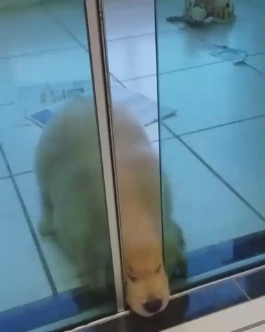 Get me in too