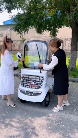 Best electric vehicle
