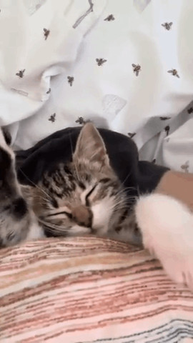 Cutest stretch