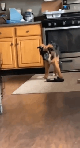 How dare to touch my things