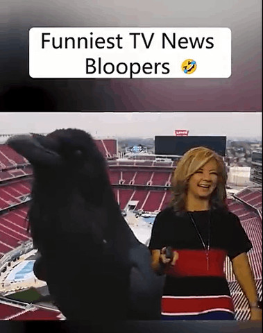 Funny fail