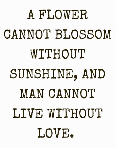 A flower cannot blossom without sunshine