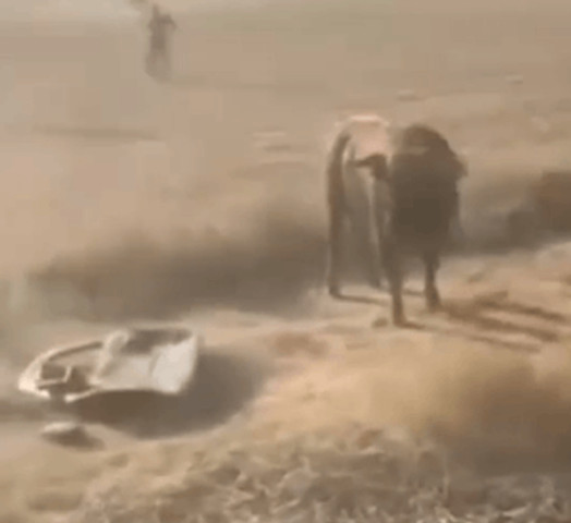 Bull break fail